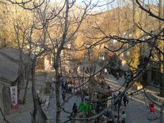 -古北烤梨