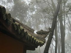 -窦圌山风景区