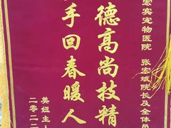 -瑞派宠物医院·中兽医专科(中央商城分院)