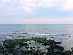 -龙头岩(Dragon Head Rock)