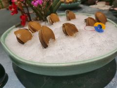 糟香鲍鱼-御龙宴