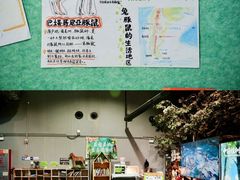 -正佳雨林生态植物园