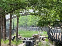 -白水寺森林公园