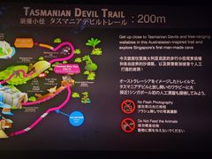 -夜间野生动物园