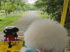 -上海海湾国家森林公园