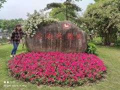 -鹅湖玫瑰文化园