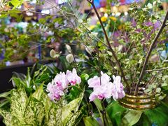 -茶马花街(城西银泰城店)