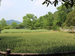 -石塘人家
