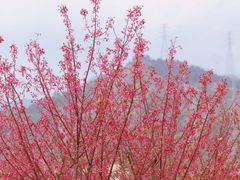 -牛岗山公园