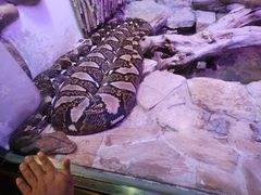 -北京野生动物园