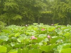 -四川大学(华西校区)