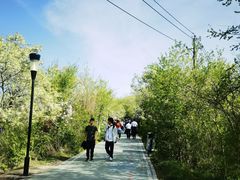 -水磨沟公园