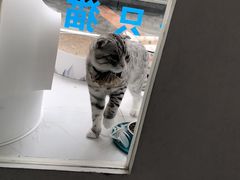 -BABYDOG宝贝狗宠物乐园(欧洲城店)
