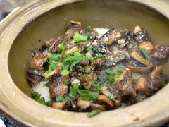 -红星光发煲仔饭(文海店)