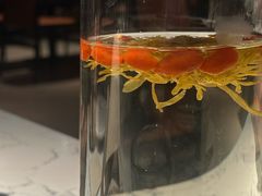 -奉天小馆·非遗东北菜(济南万象城店)