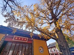 -上海青龙寺