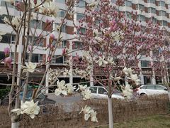 -北京京伦饭店