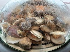 -港畔赶海蒸汽海鲜烧烤自助(仙螺岛店)