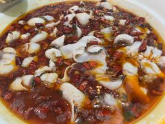 -青花椒花椒鱼(合生汇店)