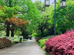 -白马涧龙池景区