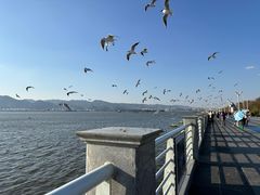 -海埂大坝