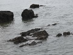 -黑石礁公园