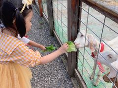 -前小桔亲子创意农场·草莓采摘·露营烧烤