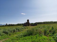 -怀来官厅水库