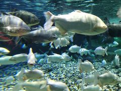 -成都浩海立方海洋公园