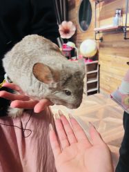 -Zoolung Zoolung动物主题公园(海信广场店)