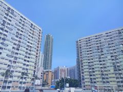 -彩虹村