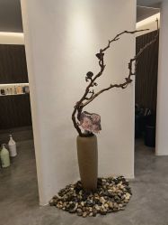 -C-18 SALON
