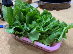 油麦菜-濠轩阁特色生蚝火锅(水湾路店)