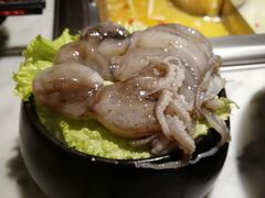 八爪鱼-新辣道鱼火锅(领展购物广场·中关村店)