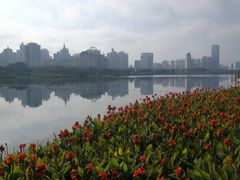 -南宁南湖公园