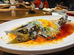 清蒸中华鲟-云境生态园(红谷滩店)