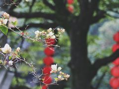 -杭州上天竺法喜讲寺