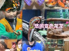 -上海大自然野生昆虫馆(东方明珠·爬宠昆虫探索中心)