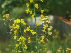 -BHG生活超市(安贞店)