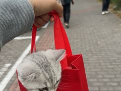 -哆趣宠物医院·眼科·内镜·急重症转诊中心(上海店)