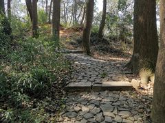 -苏州上方山国家森林公园
