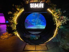 -沈阳海洋探索中心