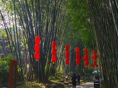 -望江楼公园