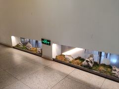 -虹泥小厨(南国花园总店)