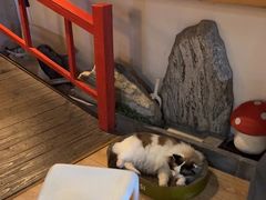 -白兔子密室(长寿路店)