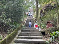 -缙云山景区
