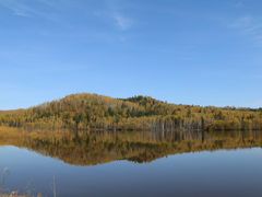 -五营红松林海景区