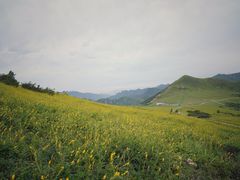 -灵山