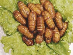 -爱月宝月嫂·育儿嫂(哈尔滨总店)