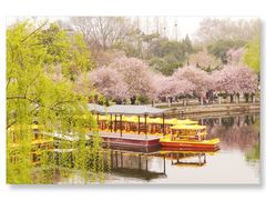 -莫愁湖公园